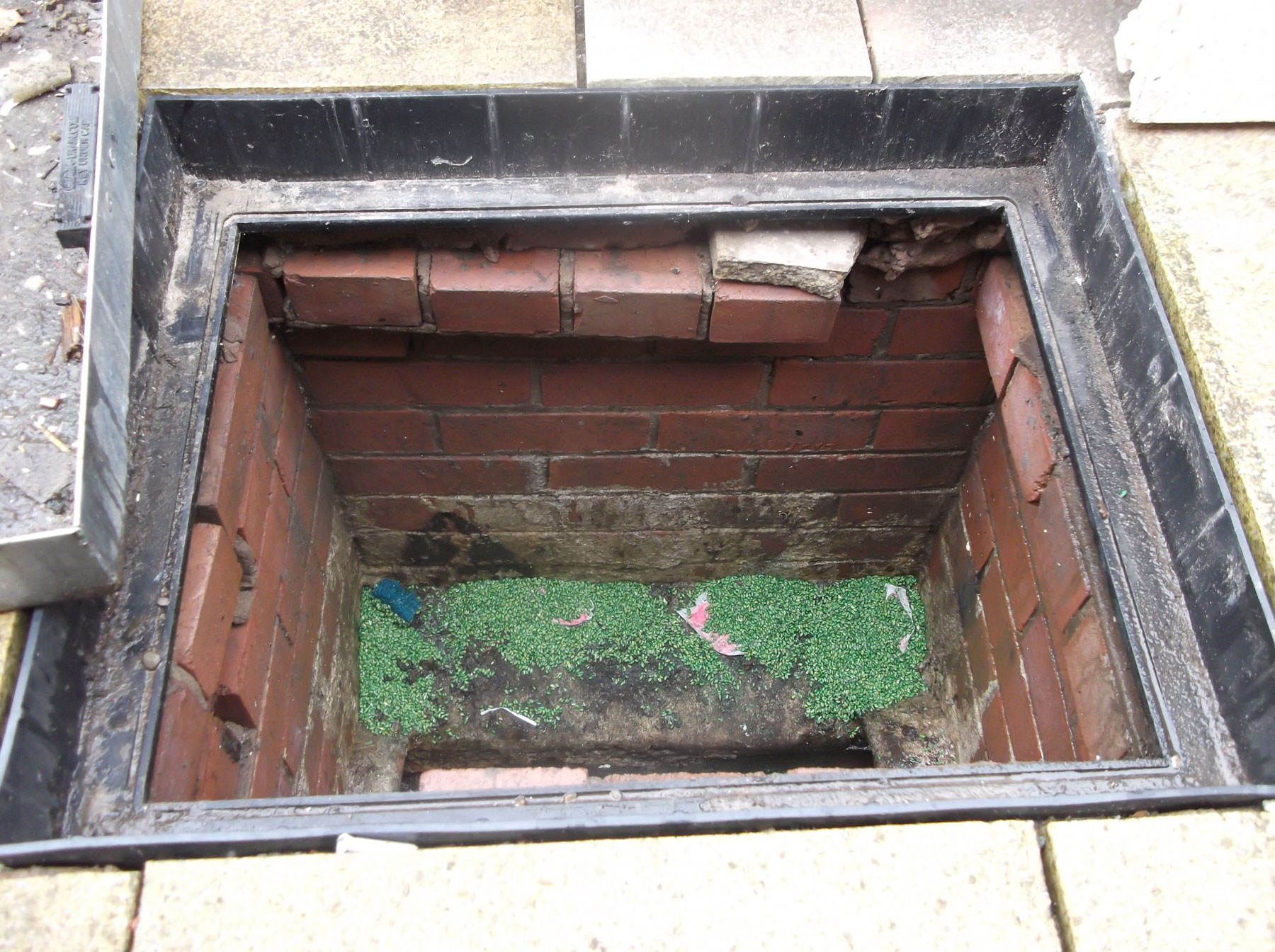 Rat control bait placed inside a sewer inspection chamber